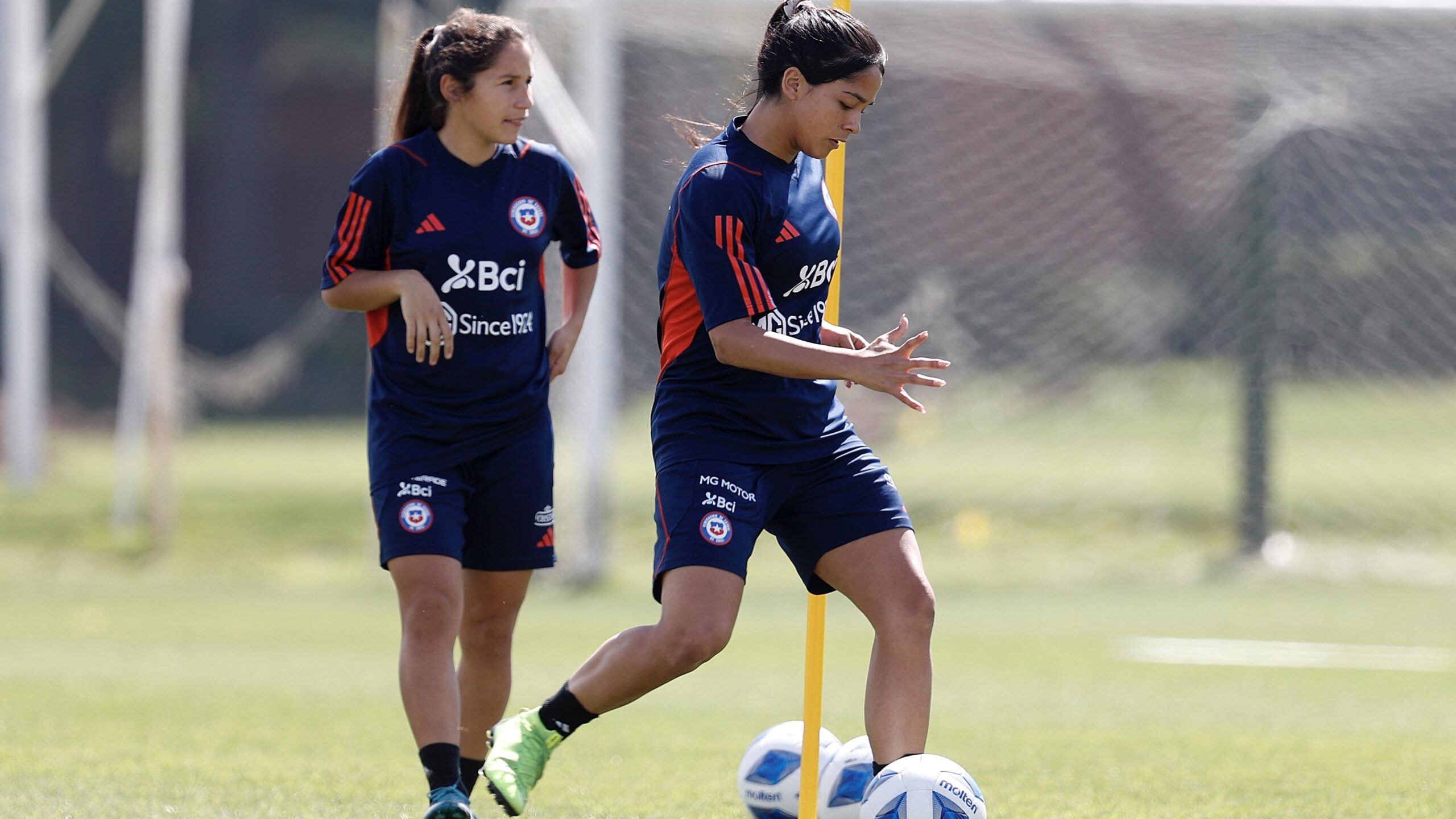 Anaís Álvarez reemplazará a Javiera Grez en La Roja en Santiago 2023