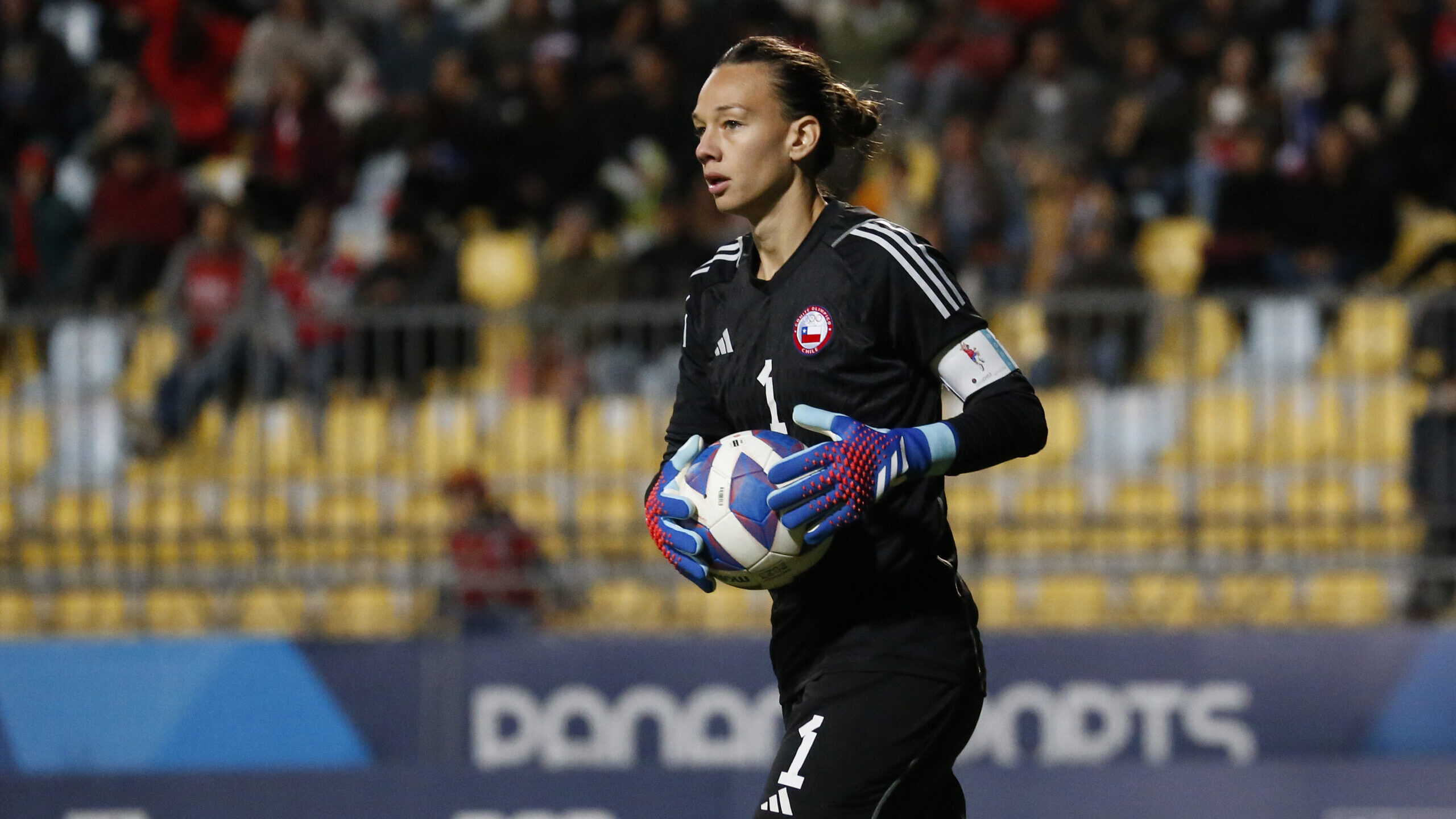 Los números de Christiane Endler tras su retiro de La Roja