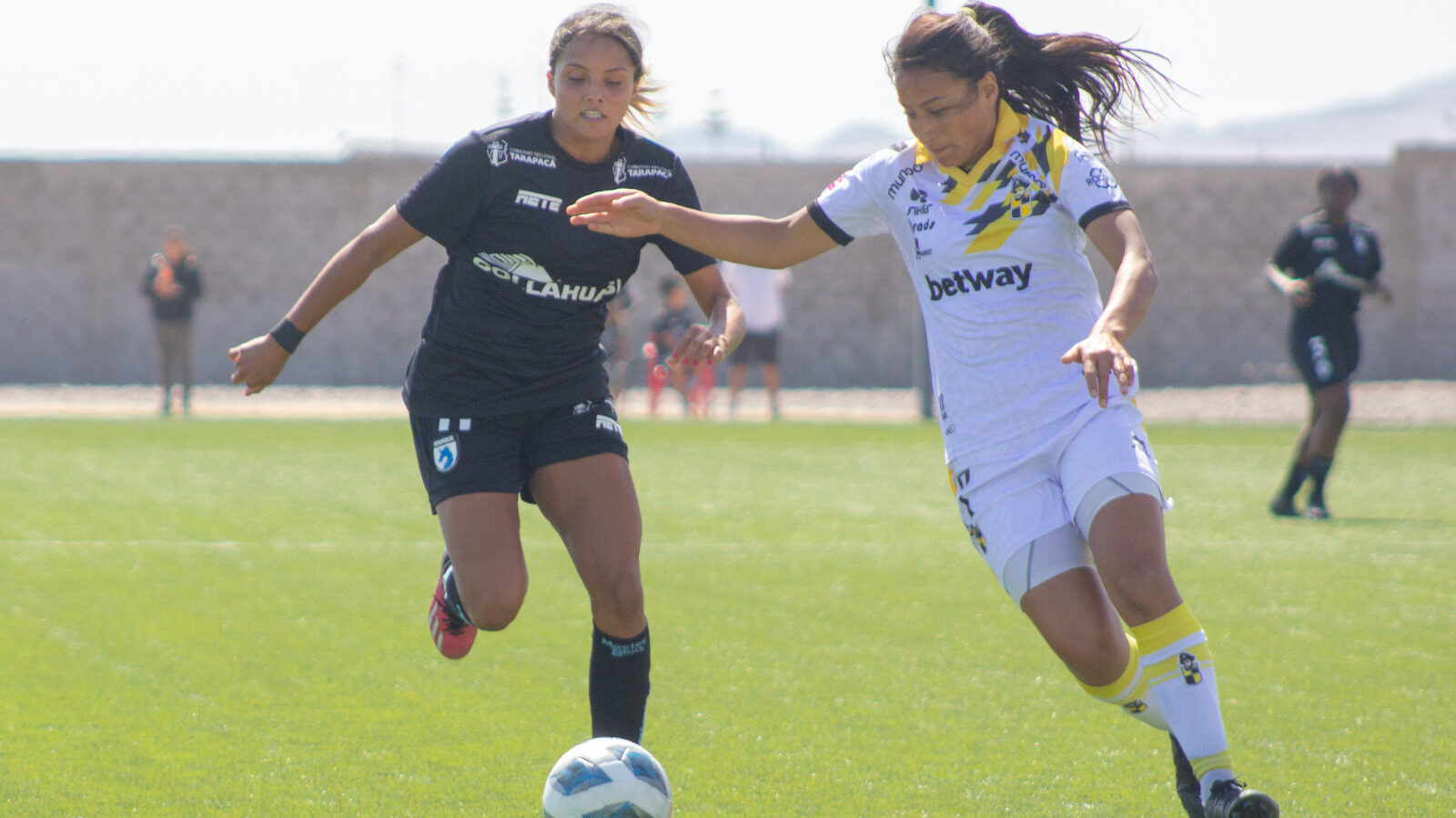 Dan a conocer el fixture del Campeonato Femenino 2024