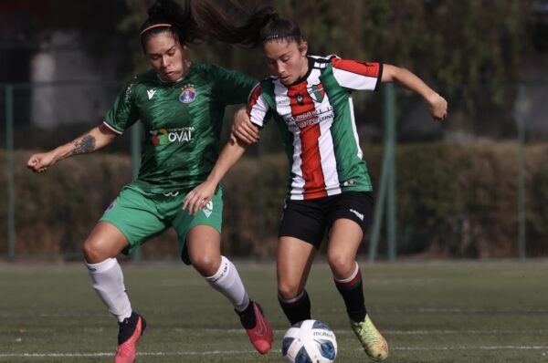 Los principales cambios a las bases del Campeonato Femenino 2024