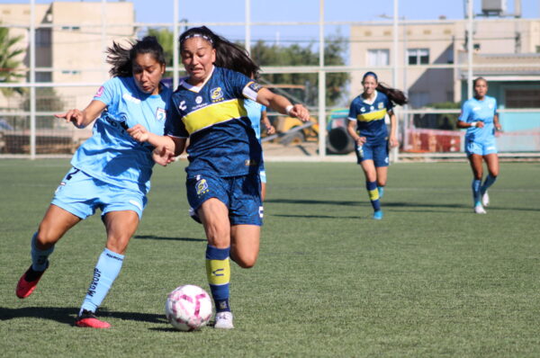 Everton y Deportes Iquique se van en tablas de Viña del Mar