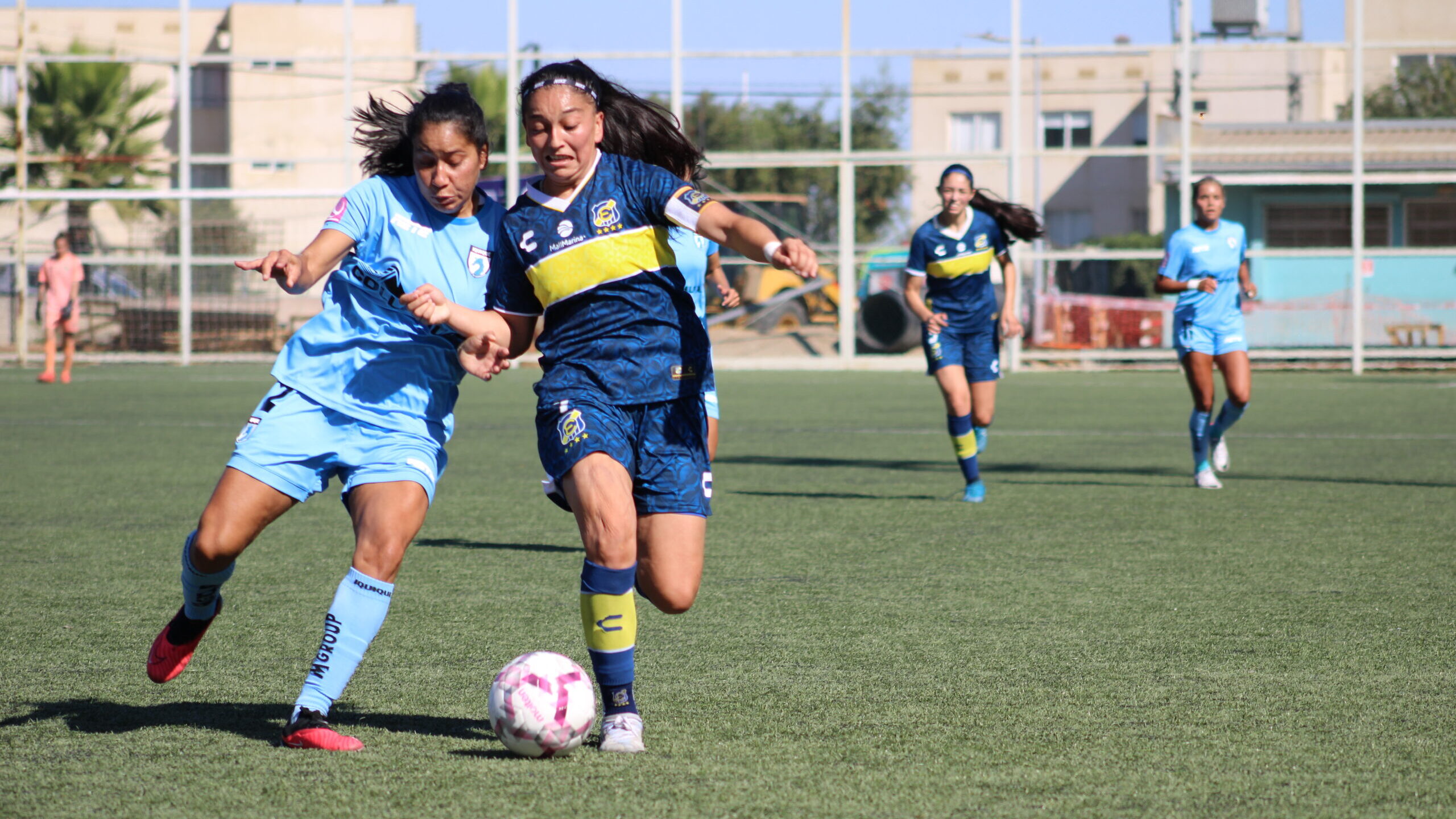 Everton y Deportes Iquique se van en tablas de Viña del Mar