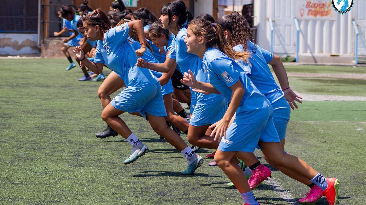 El fixture del torneo de Apertura 2024 del fútbol formativo