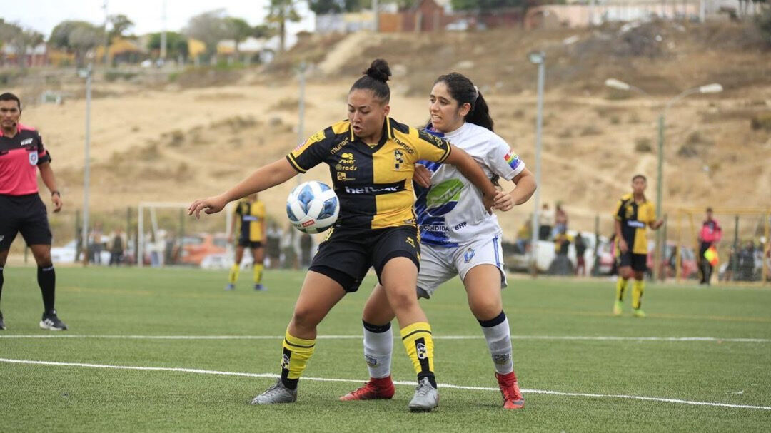 ¿Cómo y dónde ver en vivo la fecha 4 del Campeonato Femenino 2024?