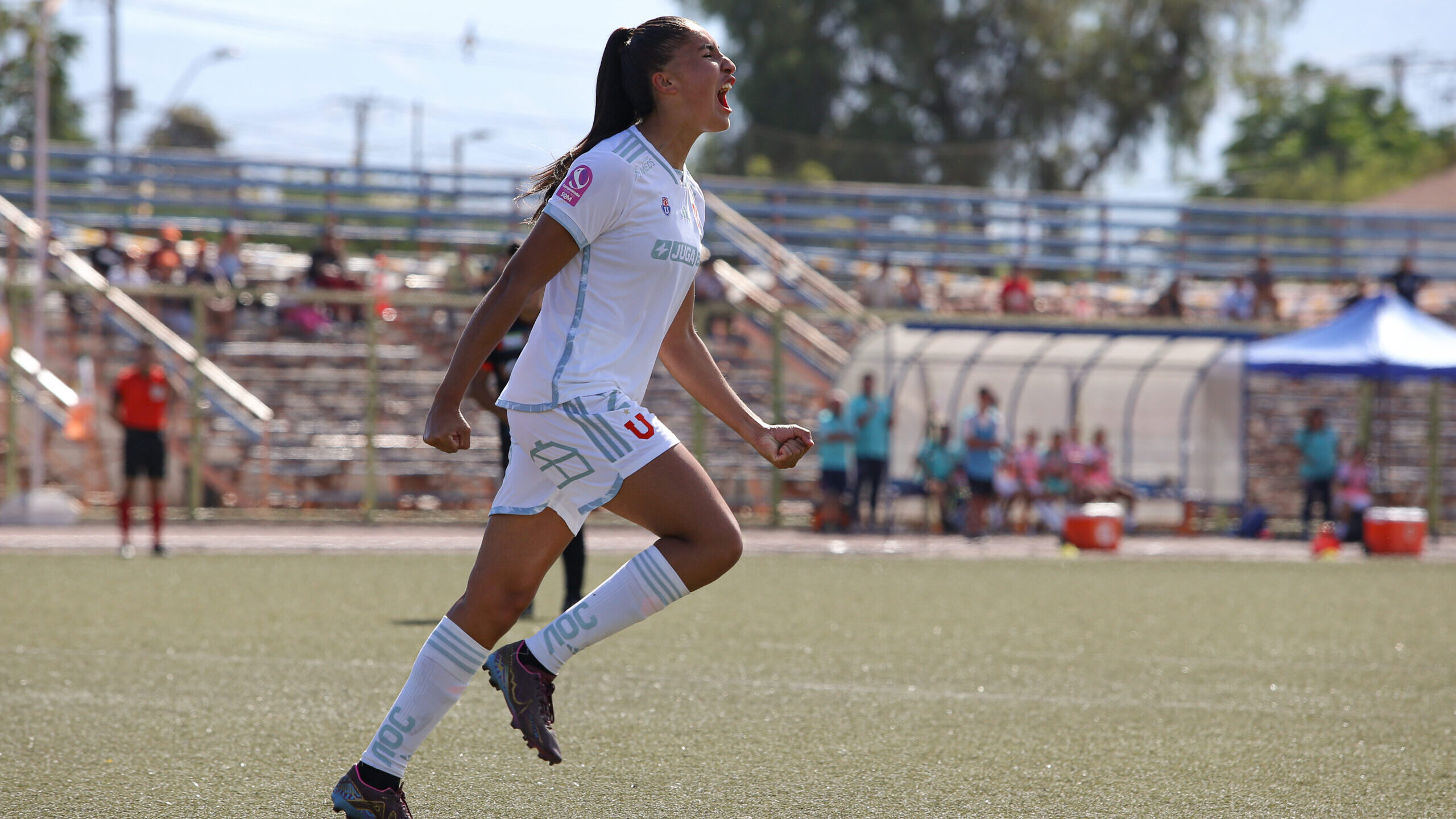 La tabla de posiciones tras la fecha 4 del Campeonato Femenino 2024