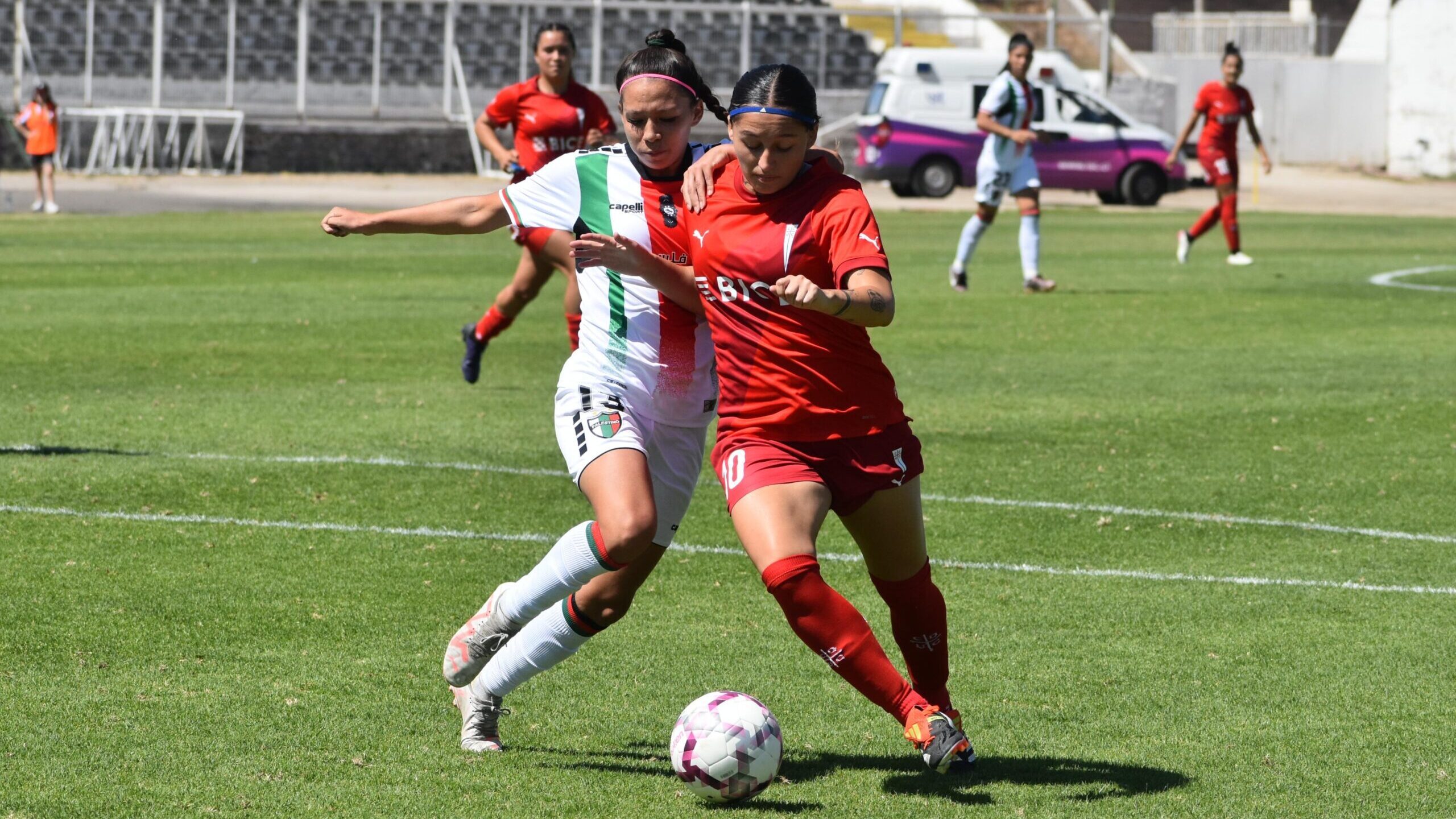 Universidad Católica y Palestino reparten puntos en su debut