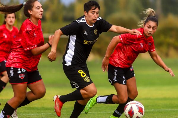 Fernández Vial cierra cinco fichajes y 14 contratos para el Ascenso 2024