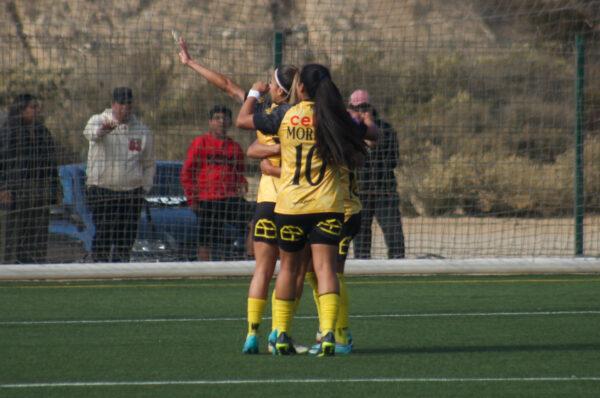 Coquimbo Unido suma tres unidades a costa de Palestino