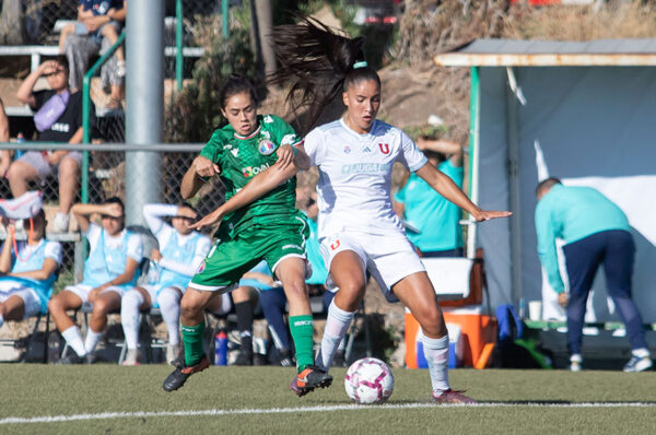 ¿Cómo y dónde ver en vivo la fecha 14 del Campeonato Femenino 2024?