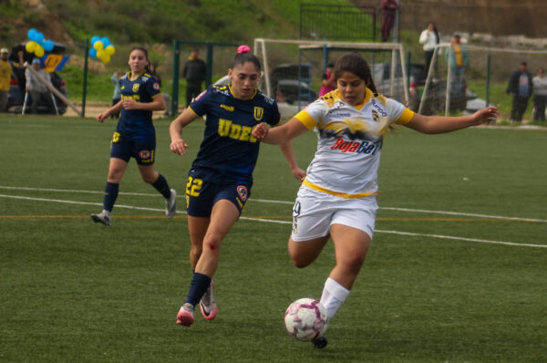 La tabla de posiciones tras la fecha 19 del Campeonato Femenino 2024