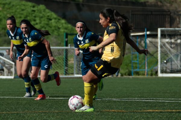 Coquimbo Unido y Everton reparten puntos en Las Rosas