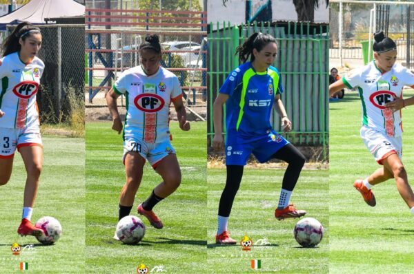 Las primeras cuatro renovaciones 2025 de Cobresal