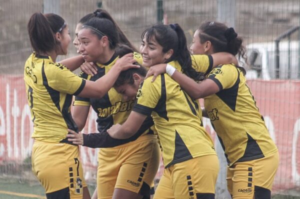 La programación de la fecha 9 del Apertura 2025 del fútbol formativo