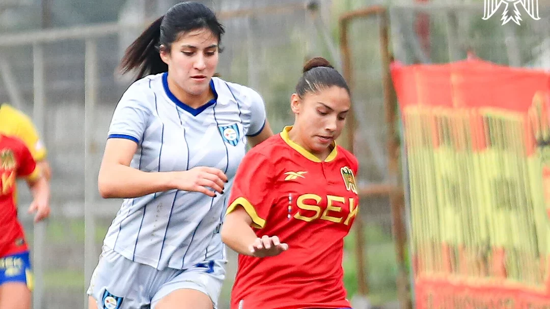 Unión Española y Huachipato reparten puntos