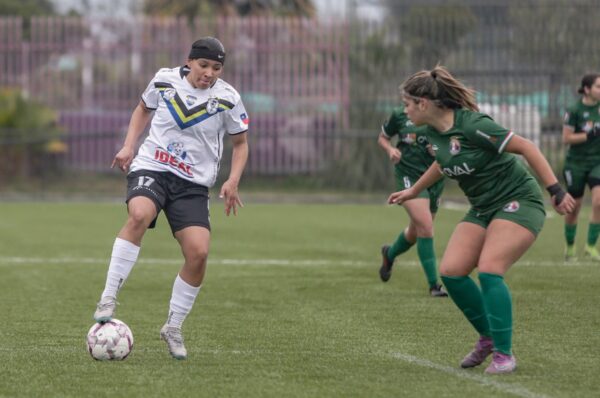 Los 35 participantes del torneo de Apertura 2026 del fútbol formativo