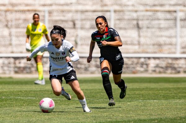Palestino anuncia la cancelación de amistoso ante Colo-Colo