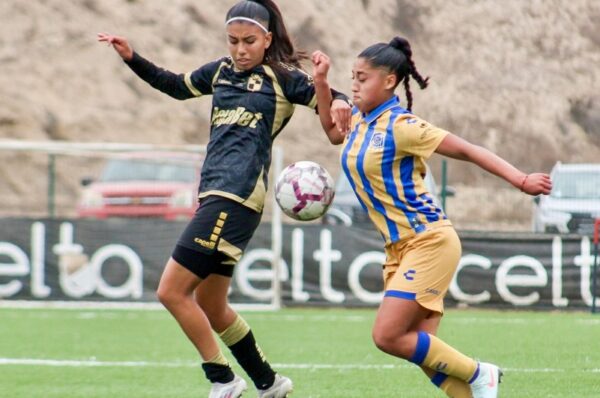Los resultados de la fecha 6 del Apertura 2026 del fútbol formativo
