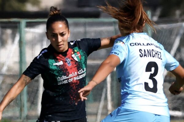 Palestino se hace fuerte en casa ante Deportes Iquique