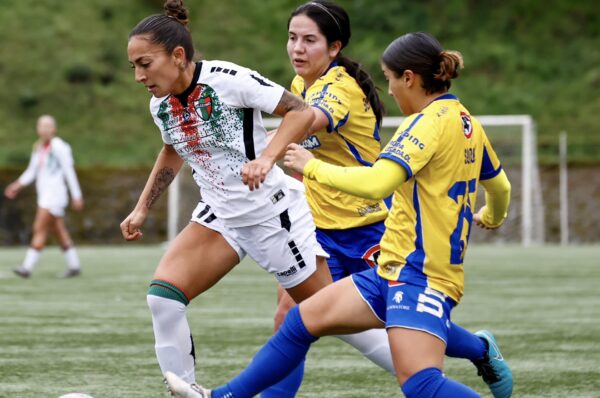 Palestino rescata el empate frente a Universidad de Concepción