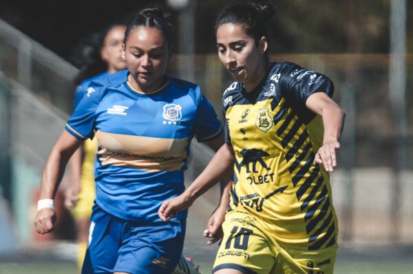 La programación de la fecha 14 del Ascenso Femenino 2026