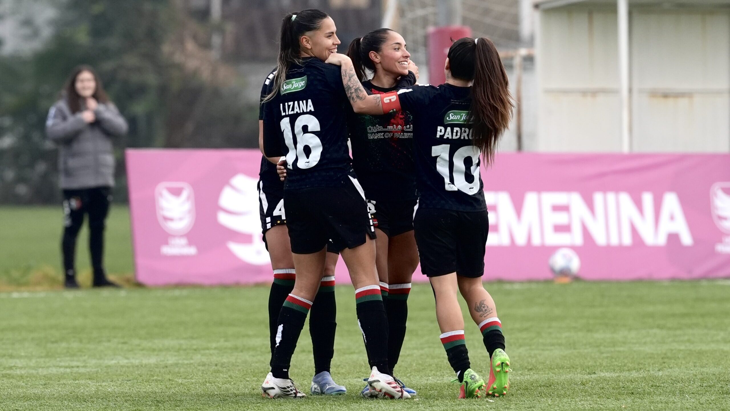 Palestino vence por la mínima a Santiago Wanderers