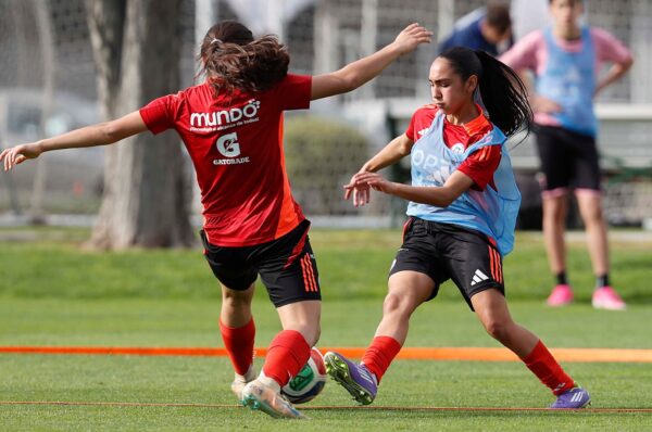 La nómina de La Roja Sub-15 para la Liga Evolución Conmebol 2026